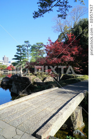 Tokugawaen with beautiful autumn leaves Tokugawaen with beautiful autumn leaves 88957437