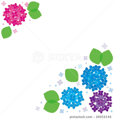 Hydrangea frame white background Hydrangea frame white background 88958148