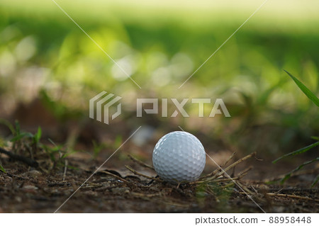 Golf ball is on a green lawn in a beautiful golf course with morning sunshine. Golf ball is on a green lawn in a beautiful golf course with morning sunshine. 88958448