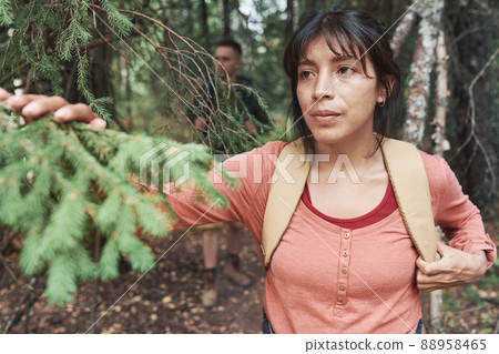 Pensive young mixed race woman with bag touching fir tree branch while determining direction in forest 88958465