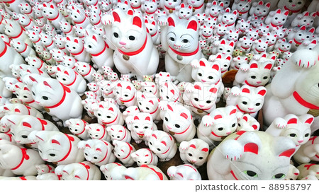 Lots of on target cats Lots of on target cats 88958797