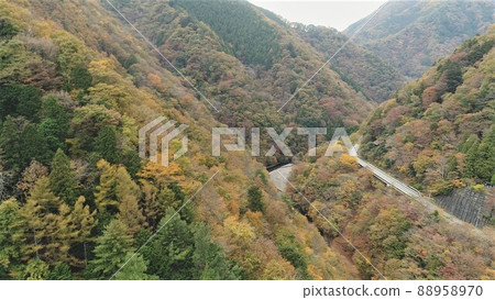 秋天的落葉和山路 88958970