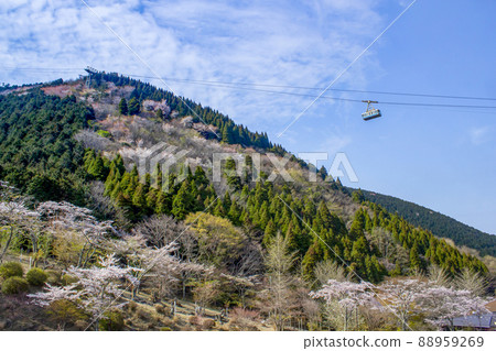 Tsurumidake和Beppu索道 88959269