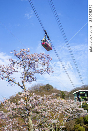 櫻花和別府索道 88959272
