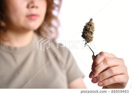 Woman holding medicinal cannabis flower with forceps doing research and inspection for recreational Woman holding medicinal cannabis flower with forceps doing research and inspection for recreational 88959483