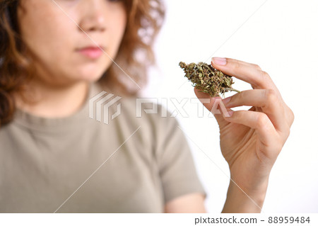 Woman holding medicinal cannabis flower with forceps doing research and inspection for recreational Woman holding medicinal cannabis flower with forceps doing research and inspection for recreational 88959484