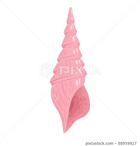 Sea shell, starfish. Underwater mollusk animal. Marine mollusc seashell, scallop, snail, cockleshell, mussel and conches. Vector illustration of shellfish isolated on white background 88959927