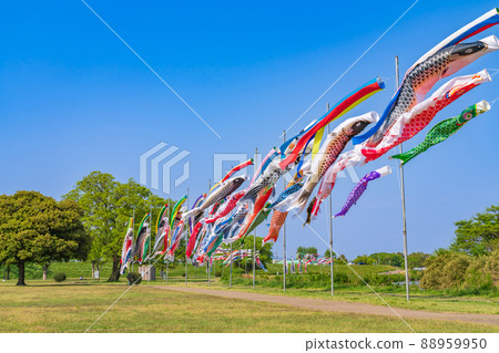 Sakaigawa Ryokudo Park, carp streamer swimming in the sky <Gifu City, Gifu Prefecture> Sakaigawa Ryokudo Park, carp streamer swimming in the sky <Gifu City, Gifu Prefecture> 88959950