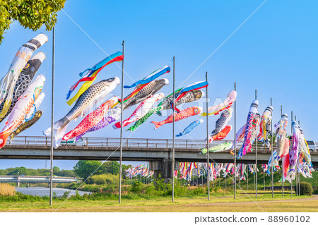 堺川綠道公園,鯉魚旗在空中游弋<岐阜縣岐阜市> 堺川綠道公園,鯉魚旗在空中游弋<岐阜縣岐阜市> 88960102