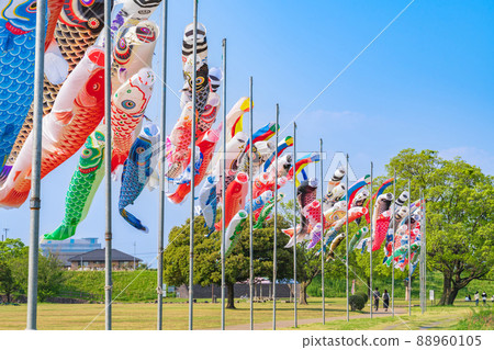 堺川綠道公園,鯉魚旗在空中游弋<岐阜縣岐阜市> 堺川綠道公園,鯉魚旗在空中游弋<岐阜縣岐阜市> 88960105