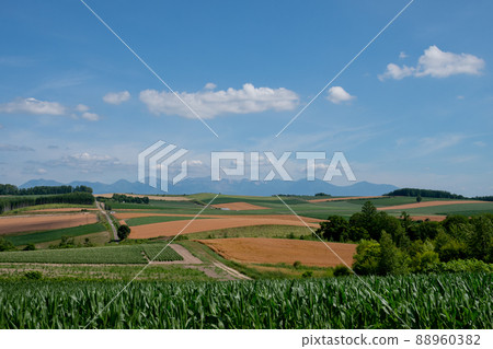 Hills and mountains of green and golden fields Tokachidake mountain range 88960382