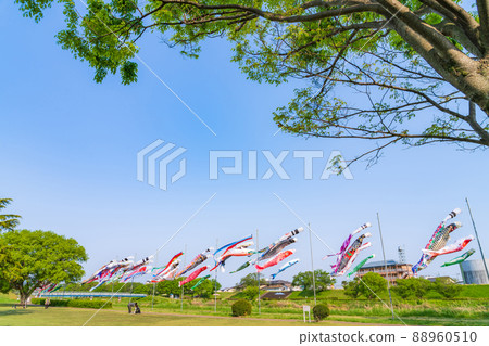 Sakaigawa Ryokudo Park, carp streamer swimming in the sky <Gifu City, Gifu Prefecture> Sakaigawa Ryokudo Park, carp streamer swimming in the sky <Gifu City, Gifu Prefecture> 88960510