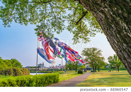 堺川綠道公園，鯉魚旗在空中游弋<岐阜縣岐阜市> 88960547
