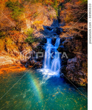 Autumn Sandandaki, Sandandaki (Akiota Town, Hiroshima Prefecture) 88960610