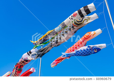 Carp streamer / May image Carp streamer / May image 88960679