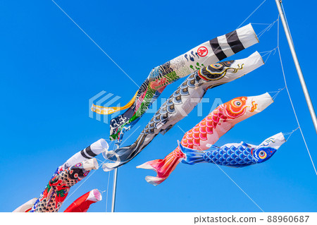 鯉魚旗/五月圖 88960687