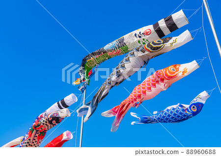 鯉魚旗/五月圖 88960688