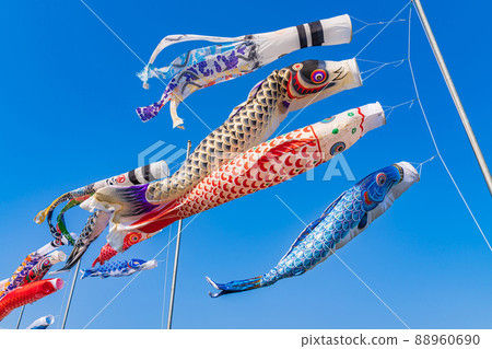 Carp streamer / May image 88960690