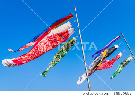 Carp streamer / May image 88960692