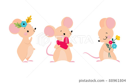 Cute adorable mice in different actions set. Lovely mouse with spring flowers and heart cartoon vector illustration Cute adorable mice in different actions set. Lovely mouse with spring flowers and heart cartoon vector illustration 88961804