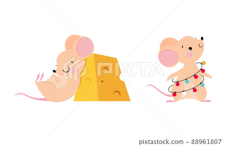 Cute funny adorable mice in different actions set cartoon vector illustration Cute funny adorable mice in different actions set cartoon vector illustration 88961807