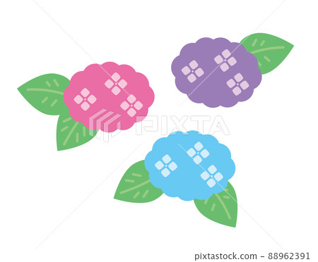 3 color hydrangea illustration material set 3 color hydrangea illustration material set 88962391