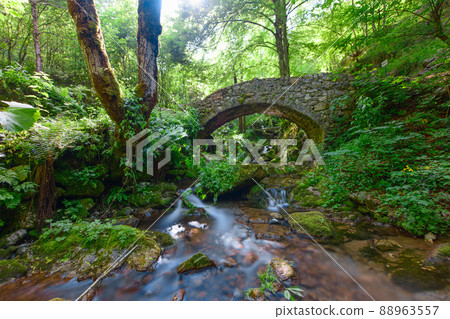 Small stone bridge in the forest 88963557