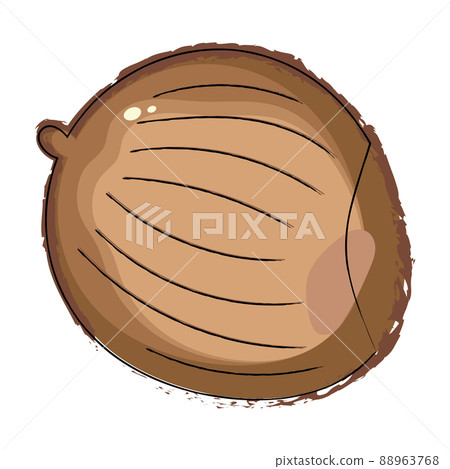 Isolated sketch of a coconut Vector Isolated sketch of a coconut Vector 88963768