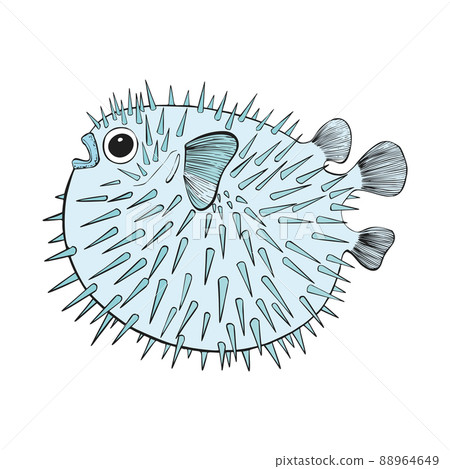 Hand drawn Reef Tropical Fishes. Sea and Ocean Animals Vector Clip art. Hand drawn Reef Tropical Fishes. Sea and Ocean Animals Vector Clip art. 88964649