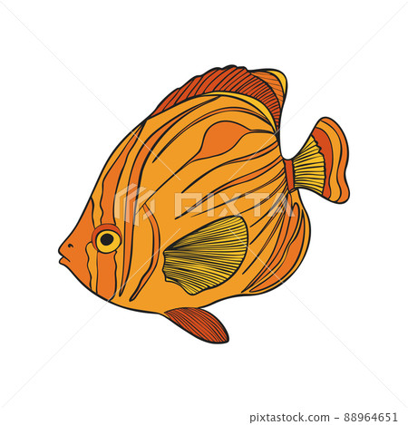 Hand drawn Reef Tropical Fishes. Sea and Ocean Animals Vector Clop art. 88964651