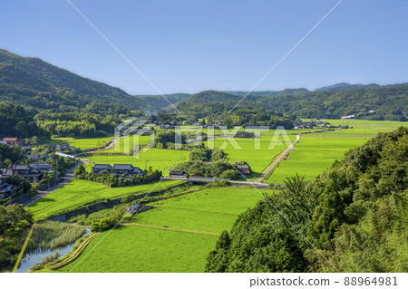 Tasomesho Tasomesho 88964981