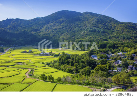 Tasomesho Tasomesho 88964983