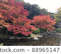 代表日本的大名庭園栗林庭園的紅葉 88965147