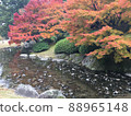 代表日本的大名庭園栗林庭園的紅葉 88965148