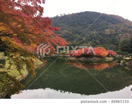 代表日本的大名庭園栗林庭園的紅葉 88965150