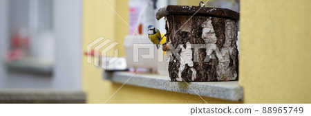 Beautiful tit bird about to go in a bird hatching house Beautiful tit bird about to go in a bird hatching house 88965749