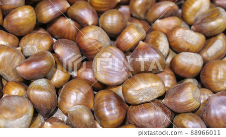 background of ripe brown hazelnuts in the supermarket 88966011