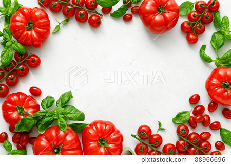 Tomatoes and basil on white background, top view, flat lay 88966696