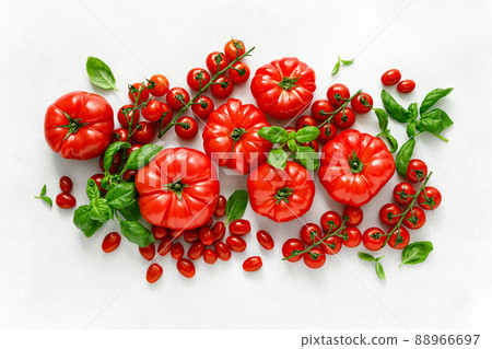 Tomatoes and basil on white background, top view, flat lay 88966697