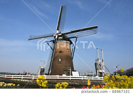 在櫻花故鄉廣場舉辦第34屆櫻花鬱金香節 在櫻花故鄉廣場舉辦第34屆櫻花鬱金香節 88967181