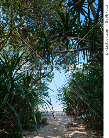 Road to the sea Road to the sea 88967512
