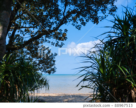 Road to the sea Road to the sea 88967513