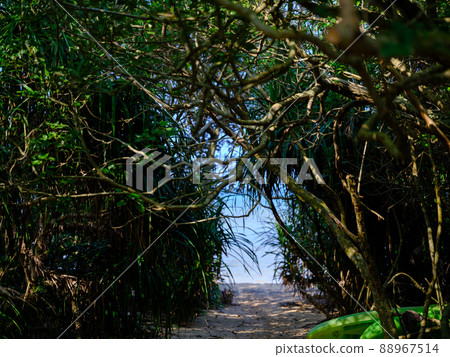 Road to the sea Road to the sea 88967514