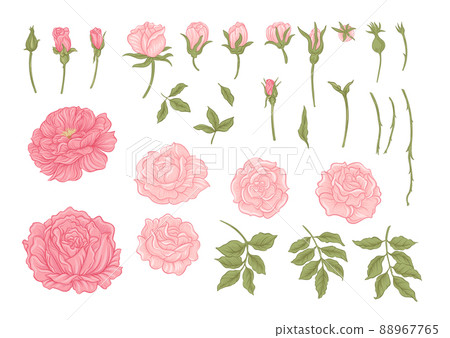 Roses flowers on branches. Millefleurs trendy floral design Roses flowers on branches. Millefleurs trendy floral design 88967765