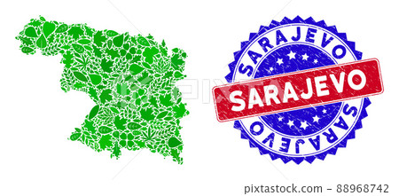 Bicolor Sarajevo Scratched Seal Stamp and Leaf Green Composition of Zamora Province Map 88968742