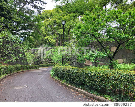 東京都千代田區皇居二之丸庭園梅林坂 88969237