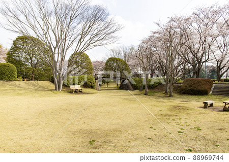 小笠塚親近公園 88969744