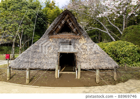 小笠塚親近公園 小笠塚親近公園 88969746
