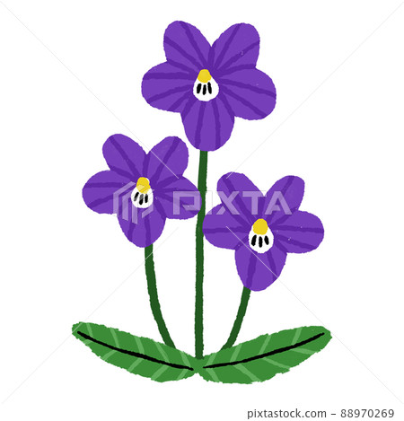 手繪紫羅蘭花 手繪紫羅蘭花 88970269