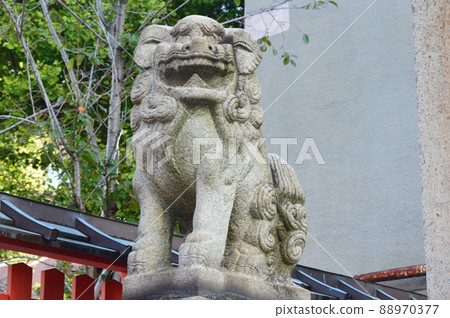 Stone statue of Karashishi (Agata statue) (Ikuta Shrine / Chuo-ku, Kobe City, Hyogo Prefecture) 88970377